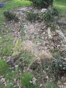 Cable grave