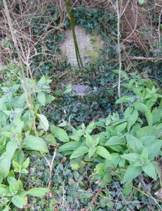 The Tyte headstone nestles under a tree by the east wall.