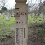 6 blackbird