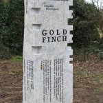 7 goldfinch