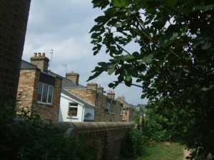 Fig Tree showing approximate location