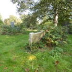 Harold Clark grave before restoration