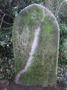 Bevan Brothers Grave