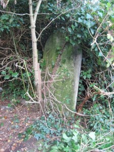 Bevan grave