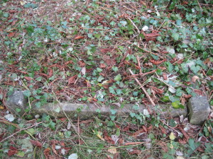 Blowers grave