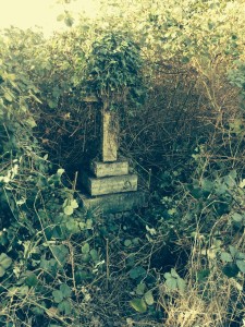 Darkins grave