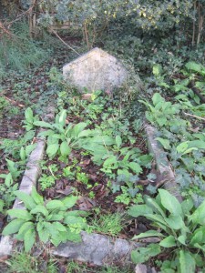 Edwards grave
