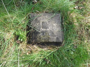 Base of Elliott monument. The majority of the inscription is now below ground level