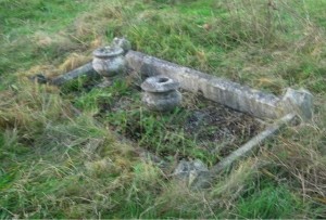 Mynott grave