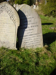 Reed grave