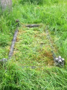 Kerry grave