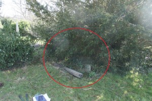 Thompson grave location