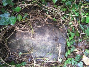 Steele Grave