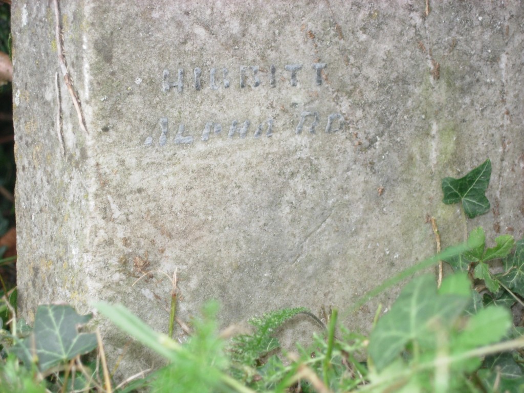hibbit mark