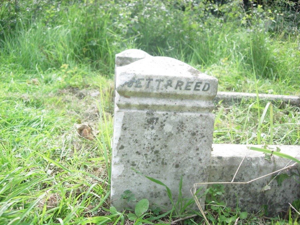 ivett & reed mark