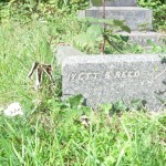 ivett & reed mark 2