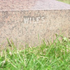 J Wiles mark