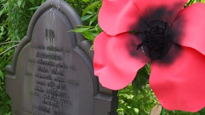 Poppy placed near Kent grave