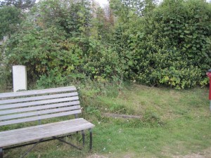 The grave of John Odell Pain is believed to be in the undergrowth behind the bench