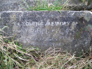 Peck grave