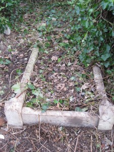 The Webb grave set was found after scrub clearance in 2015.